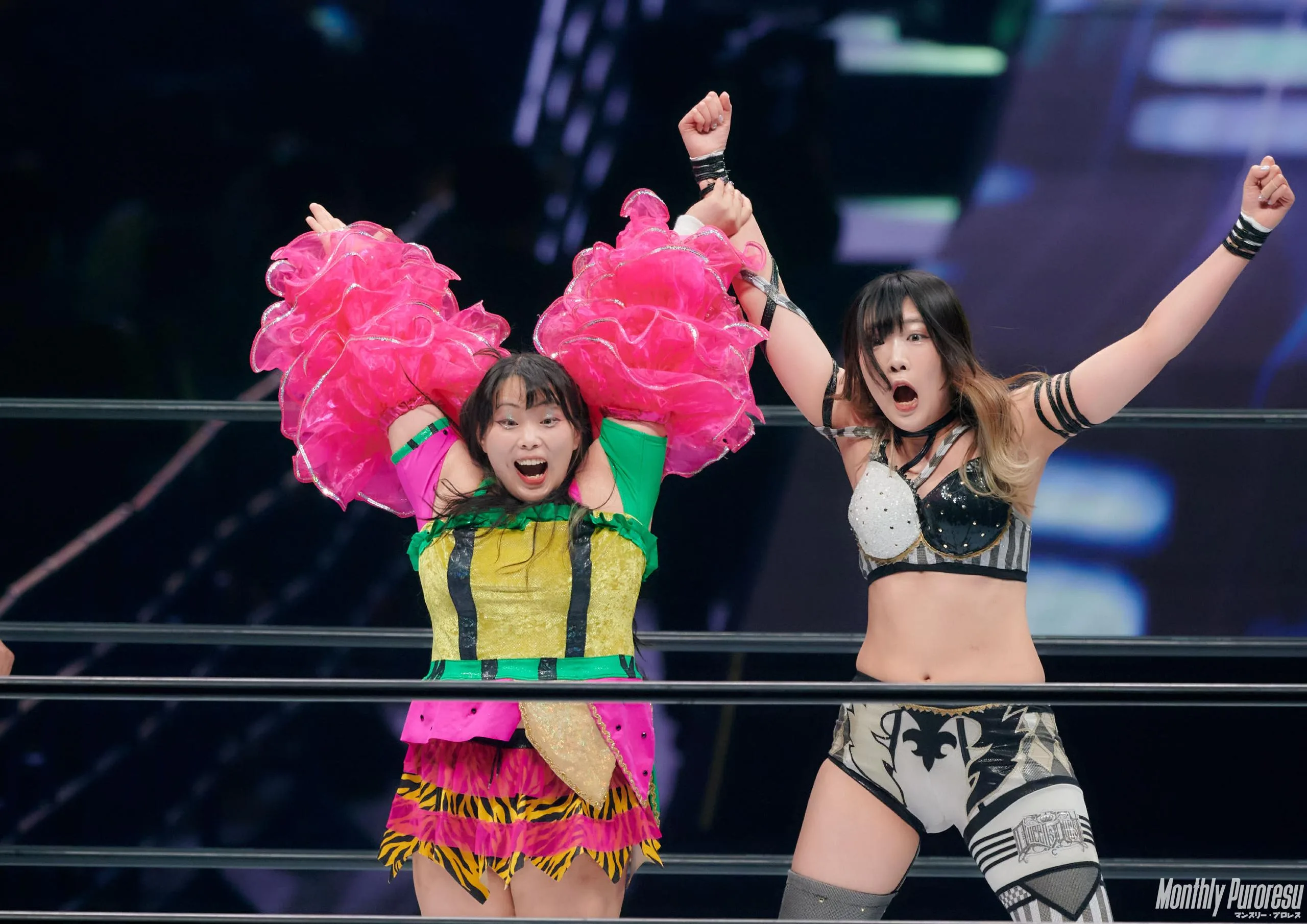 STARDOM Clocks Lowest Attendance in Company's History This Week