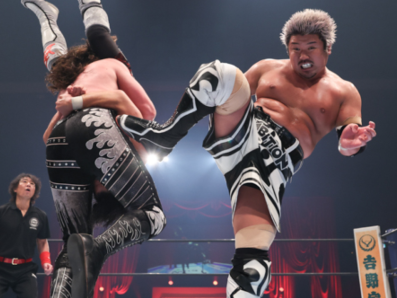Two muscular wrestlers clash in the ring as a high kick is delivered mid-air; a referee watches from the side under arena lights.