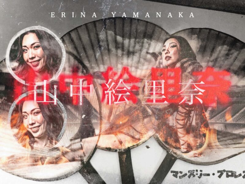 Promotional poster featuring headshots of Erina Yamanaka with bold red Japanese title text across the center.