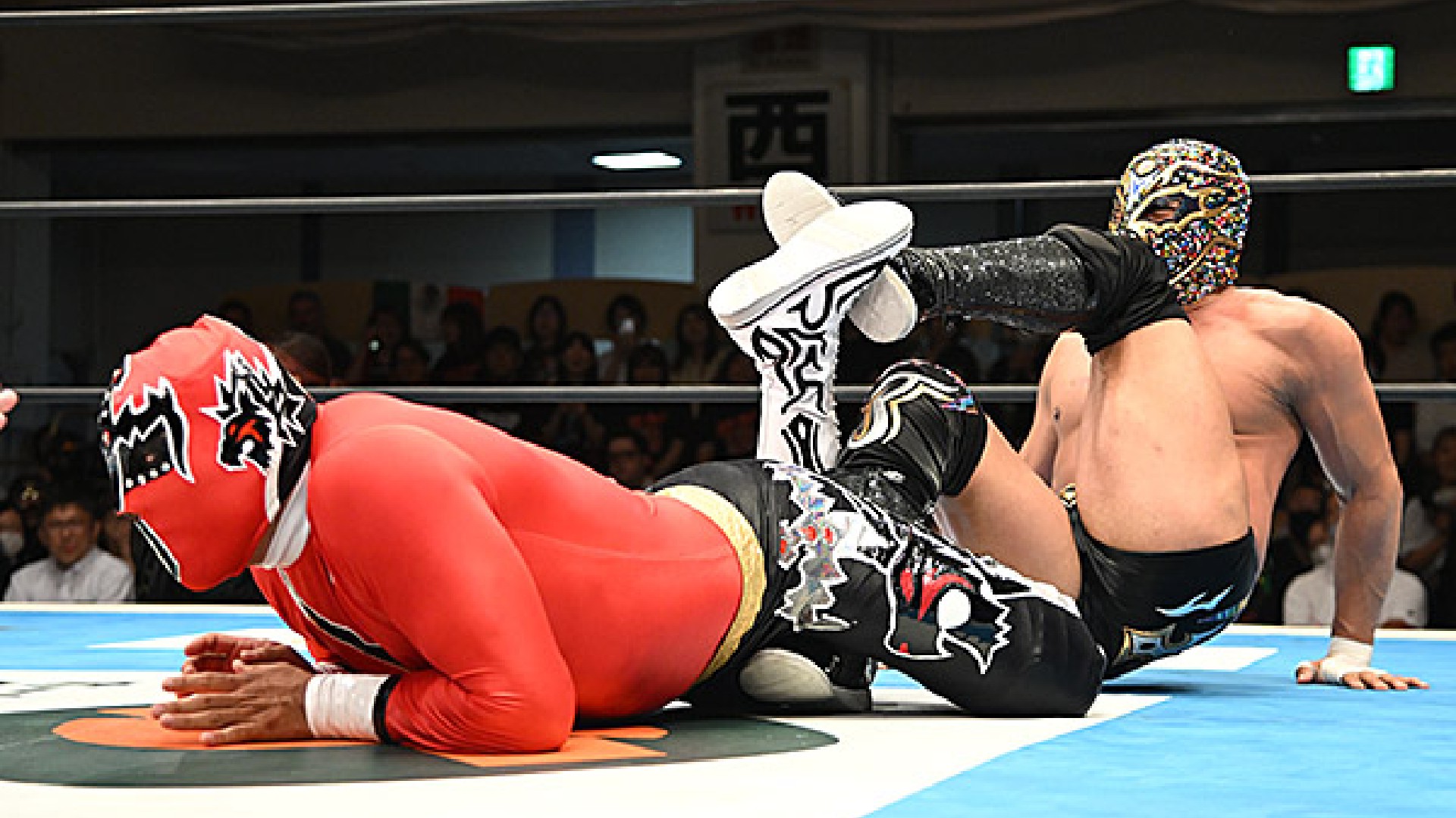 Two luchadores wrestling in a ring; one in a red suit on the mat, the other wearing a colorful mask delivering a kickto him