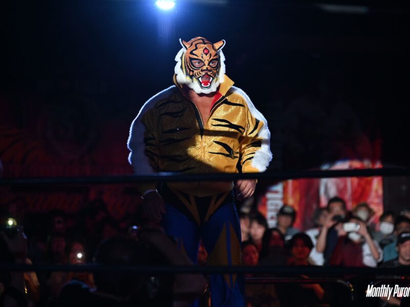Tiger-masked performer in a gold and black bodysuit stands in the ring under a bright spotlight, audience cheering in the dark background.