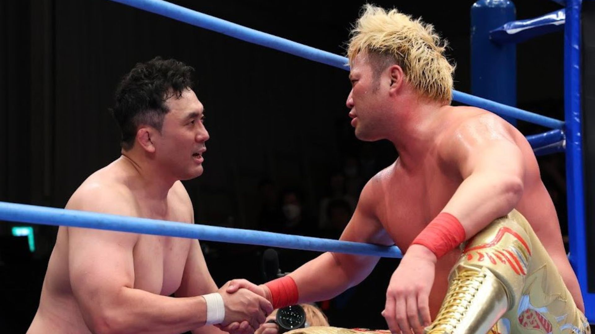 Two shirtless wrestlers shake hands in a wrestling ring after a match, with blue ropes framing them.