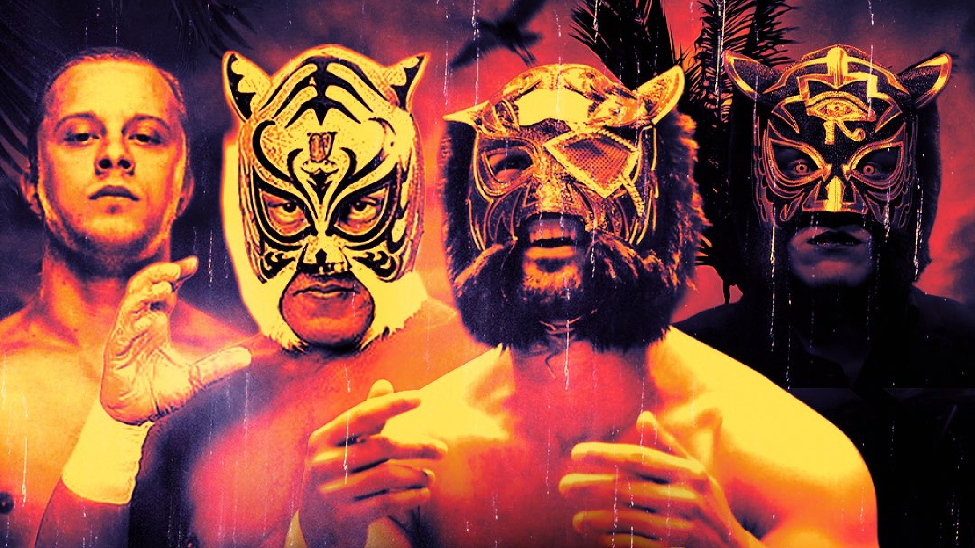 Three masked wrestlers pose with a shirtless man, wearing tiger-themed luchador masks.